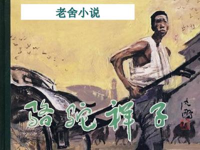 铁牛tv永不翻车冬瓜